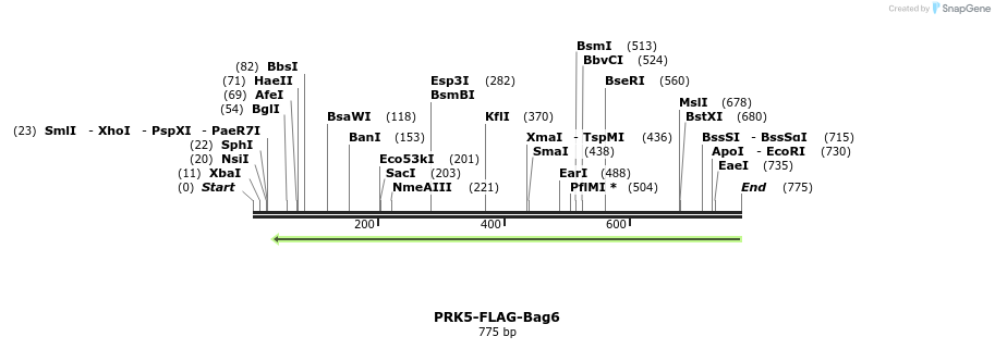 103862_map
