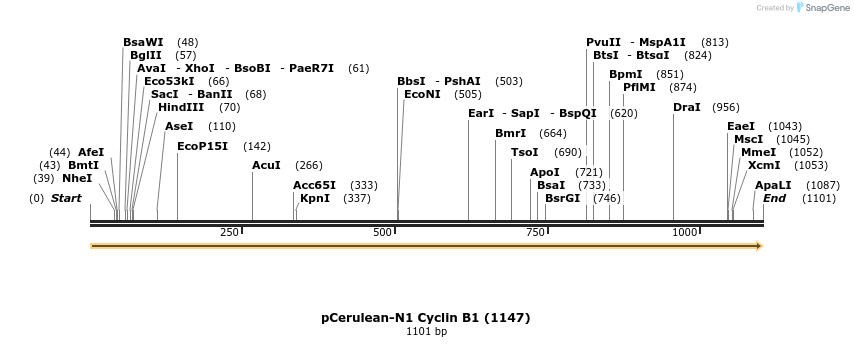 103864_map