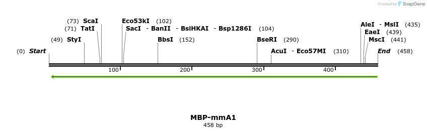 103865_map