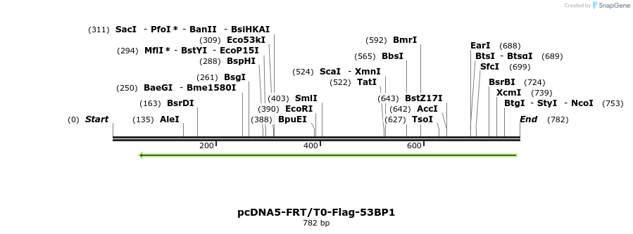 103866_map