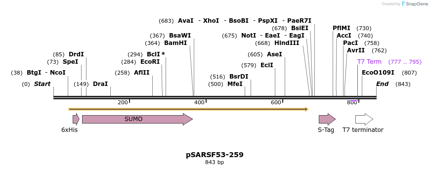 103868_map
