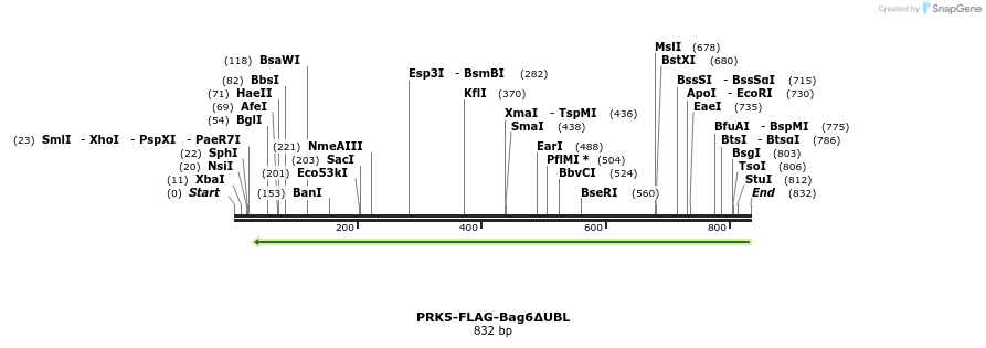 103870_map