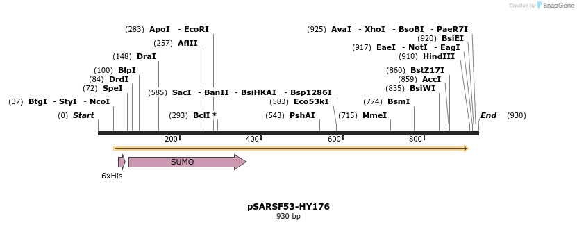 103873_map