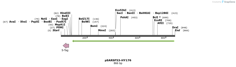 103875_map