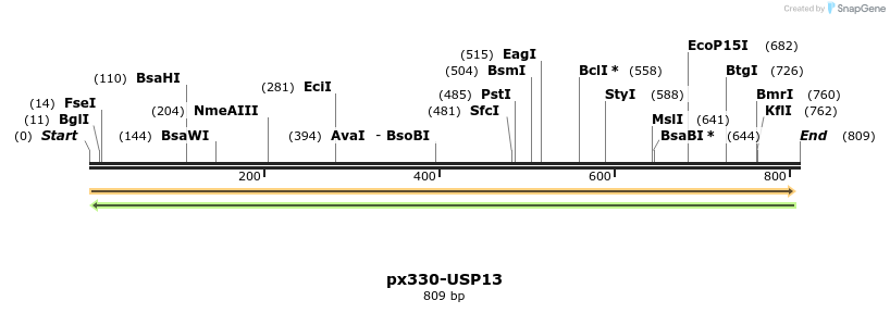103878_map