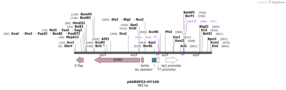 103882_map