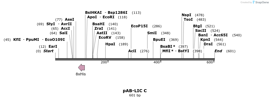 103885_map