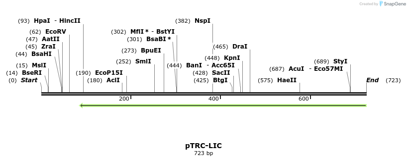 103891_map