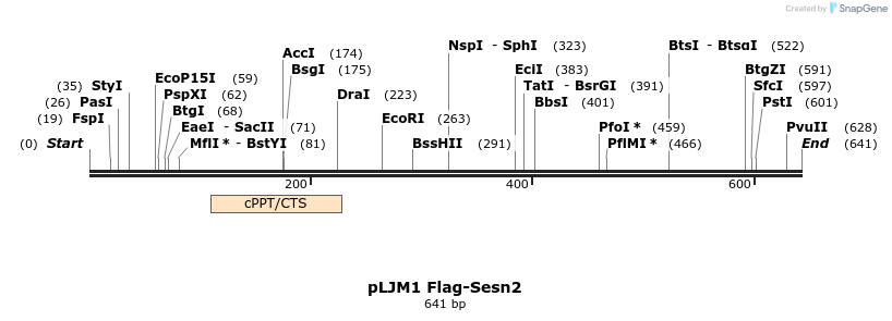 103898_map