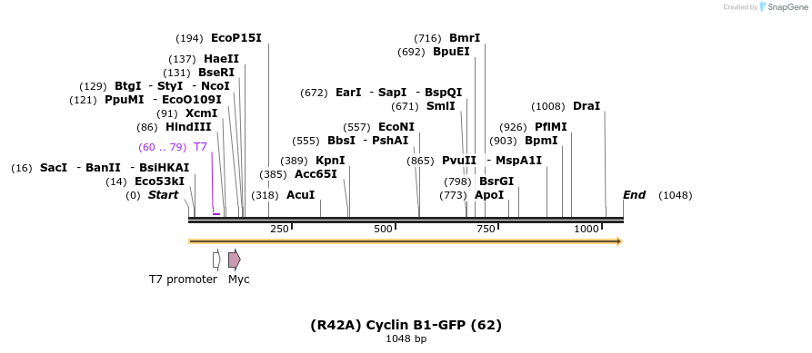 103902_map