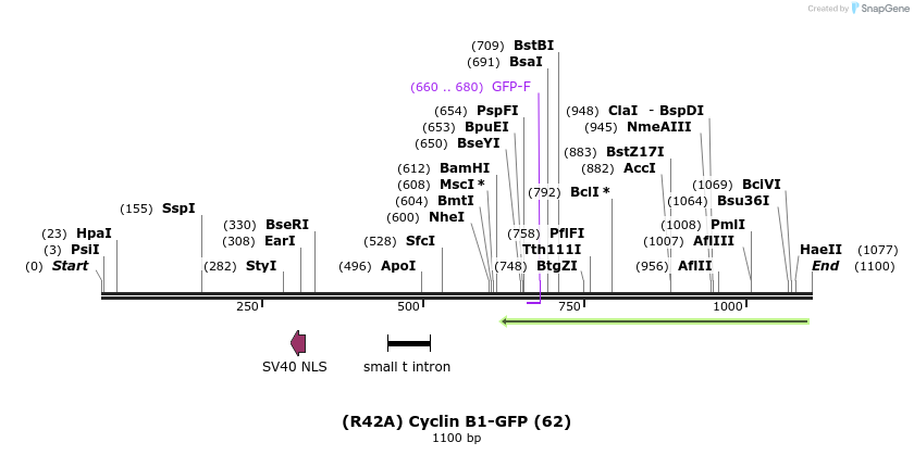 103903_map