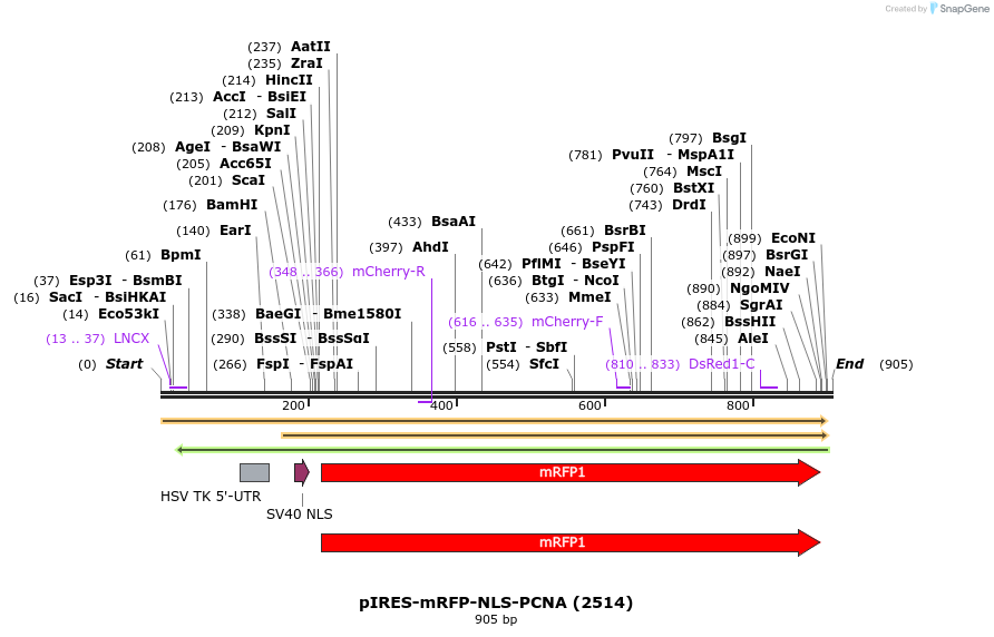 103907_map