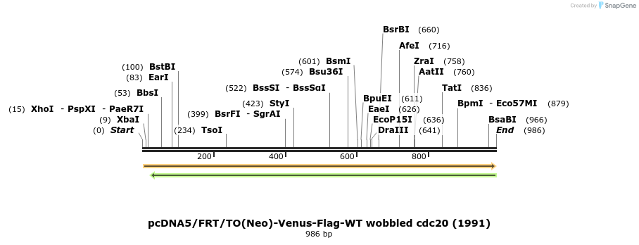 103909_map