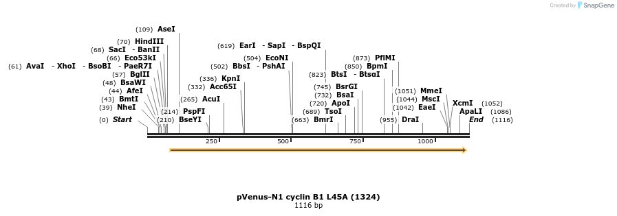 103910_map
