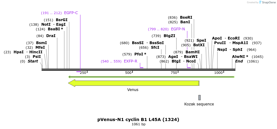 103911_map