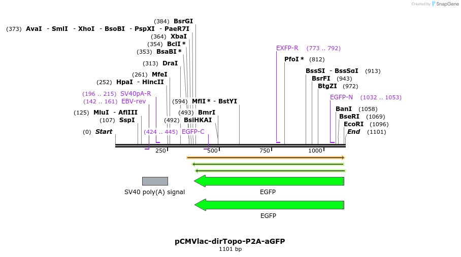 103914_map