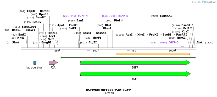 103915_map