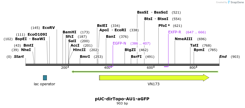 103919_map