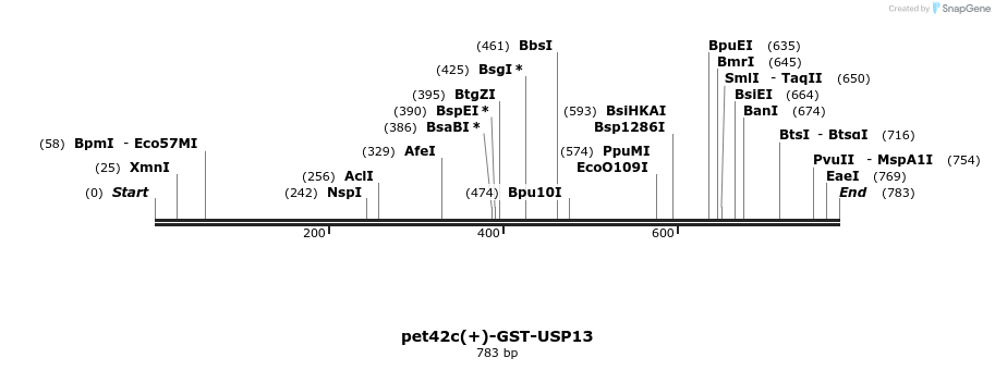 103923_map