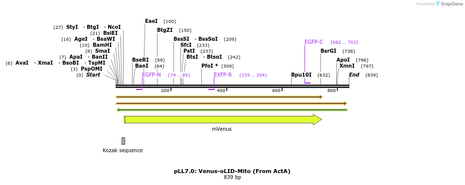 103931_map