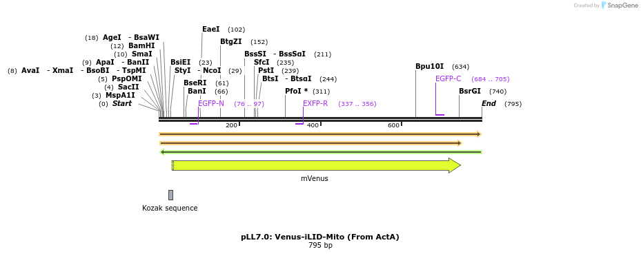 103932_map