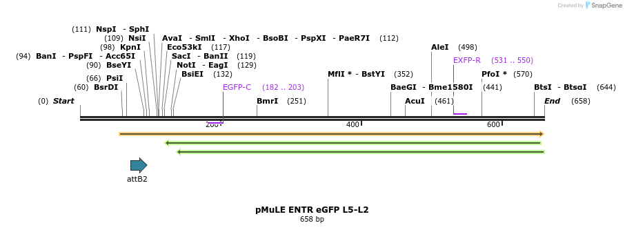 103948_map