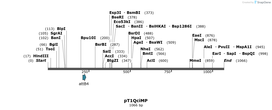 103952_map