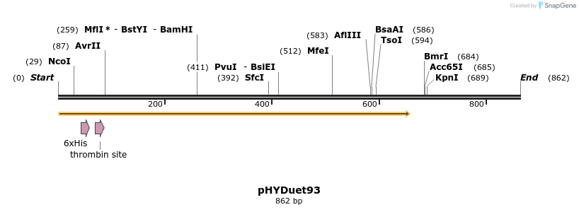 103954_map