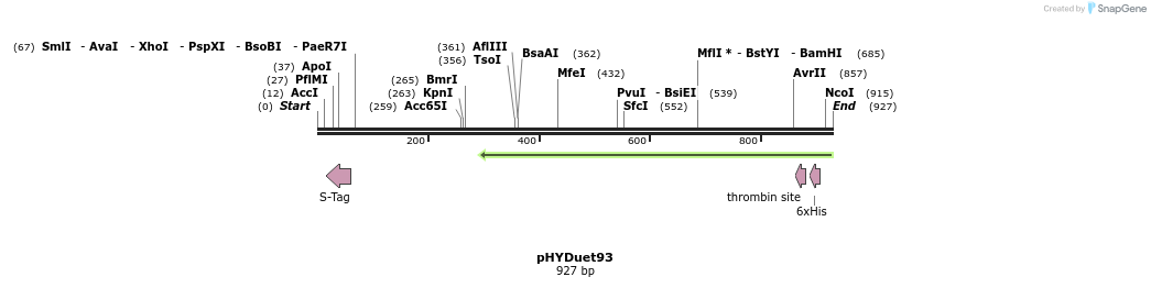 103956_map