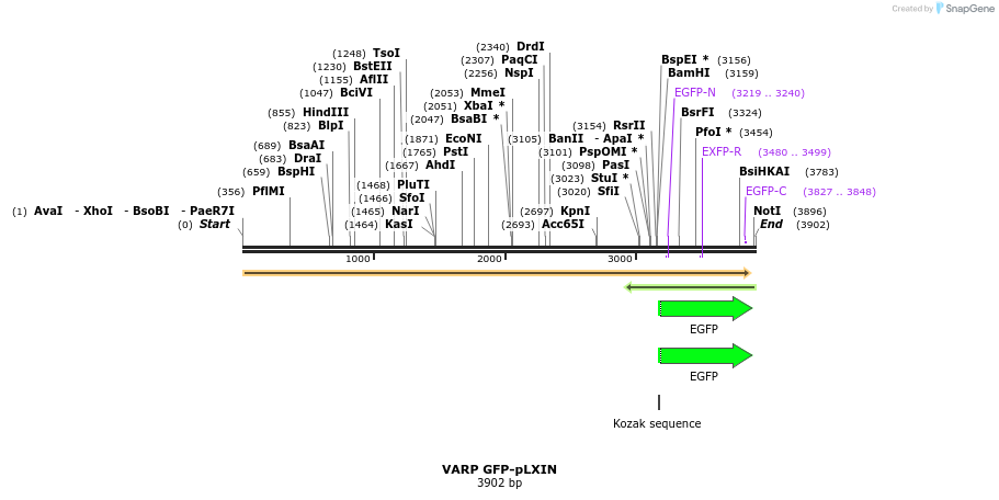 103962_map