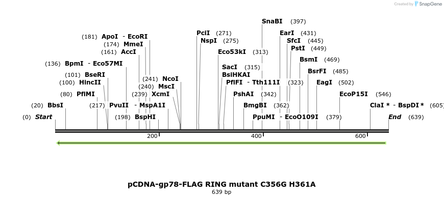 103963_map
