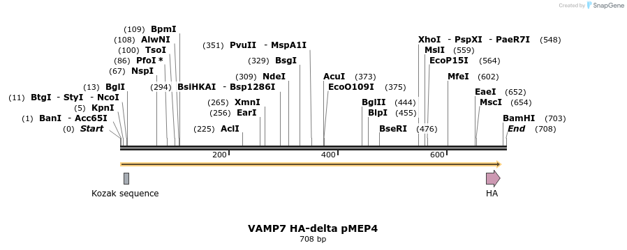 103968_map