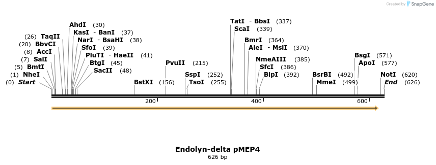 103972_map