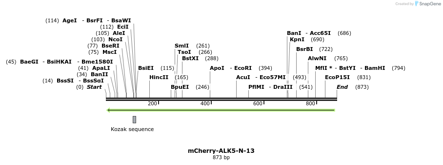 103980_map