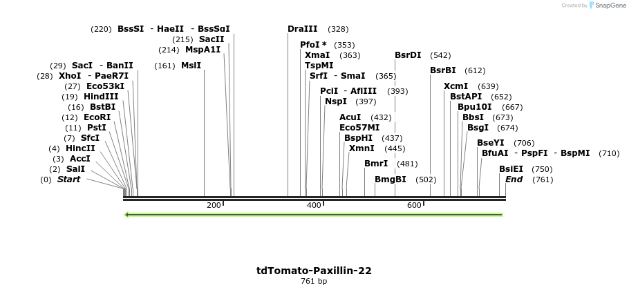 103995_map