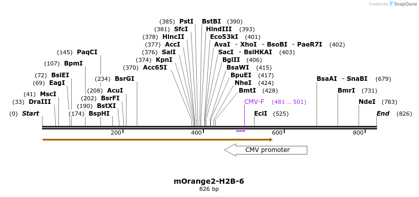 104004_map