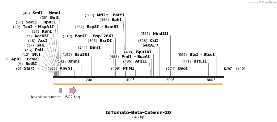 104006_map
