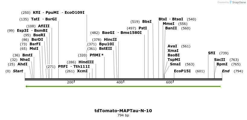 104008_map