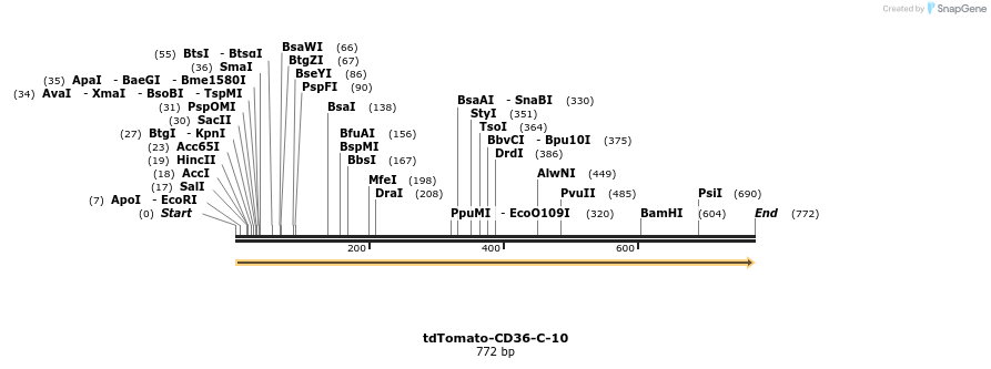 104009_map