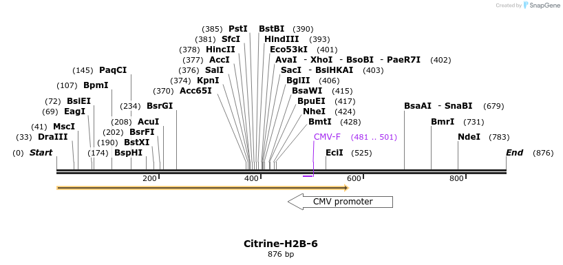 104012_map