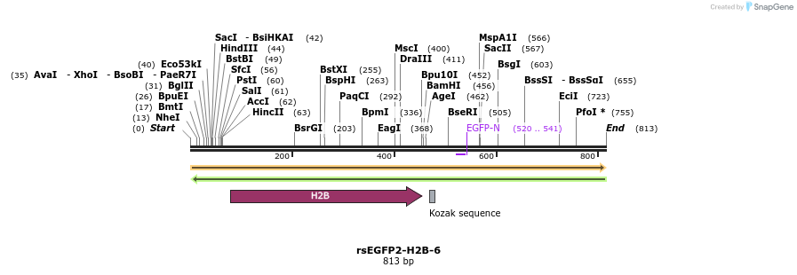 104013_map