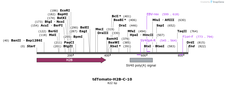 104014_map