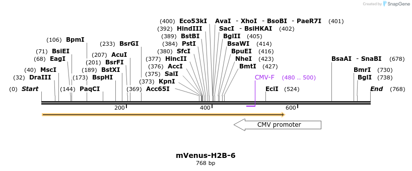 104015_map