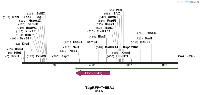 104016_map