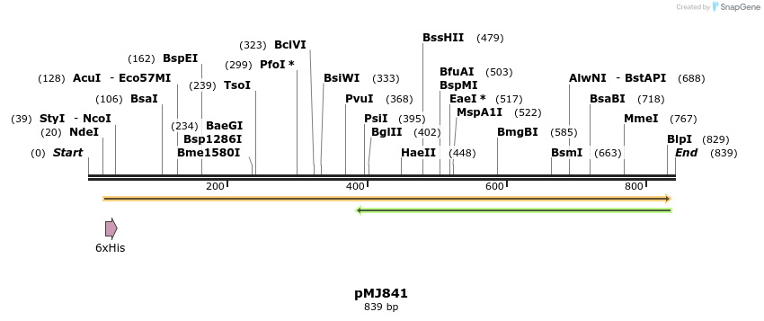 104020_map