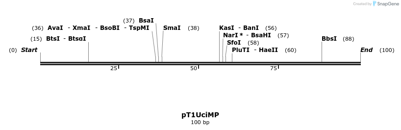 104029_map