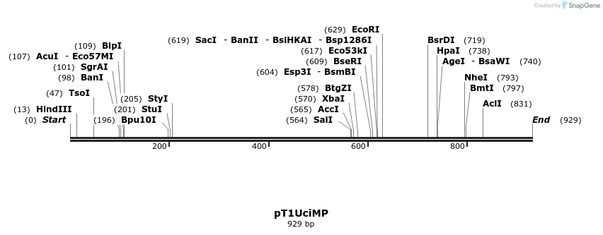 104031_map