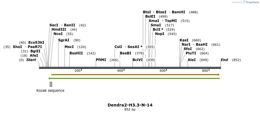 104036_map