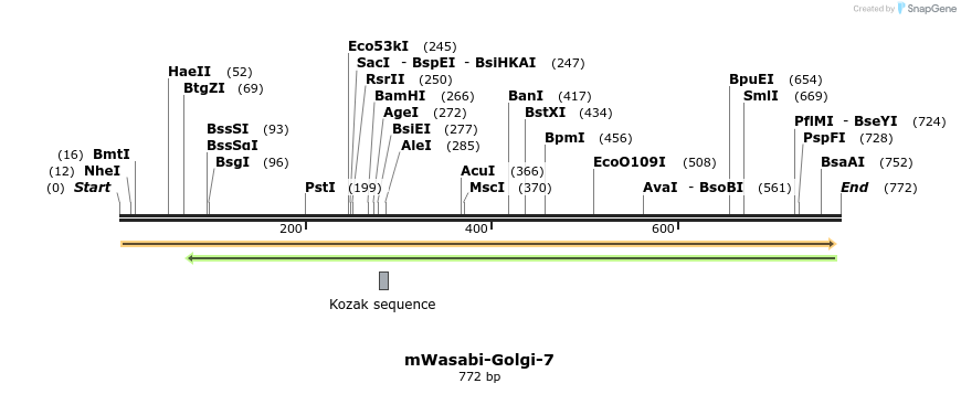 104041_map