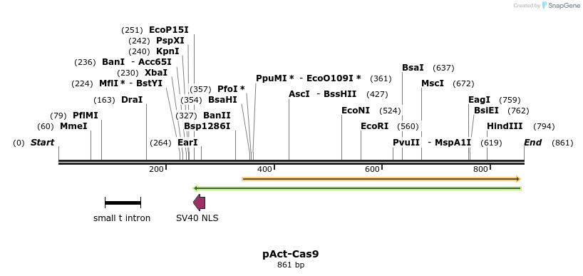 104051_map